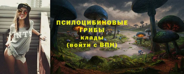 прущая мука Заволжск