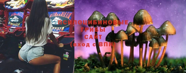 МДМА Заволжье