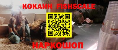 крисы Пенза