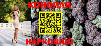 крисы Пенза