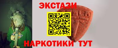 крисы Пенза