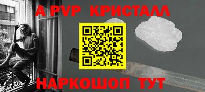 крисы Пенза