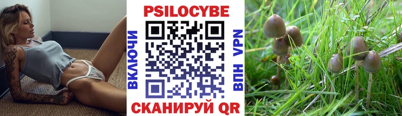 KRAKEN ТОР  Радужный  Псилоцибиновые грибы мицелий 