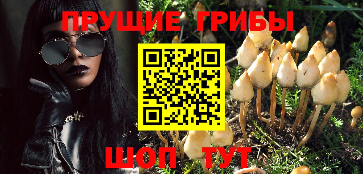 цены наркотик  Вход с VPN  Радужный  Галлюциногенные грибы MAGIC MUSHROOMS  Галлюциногенные грибы Cubensis 